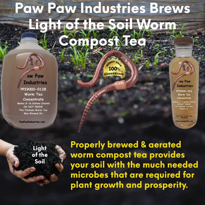 ppi brews 001