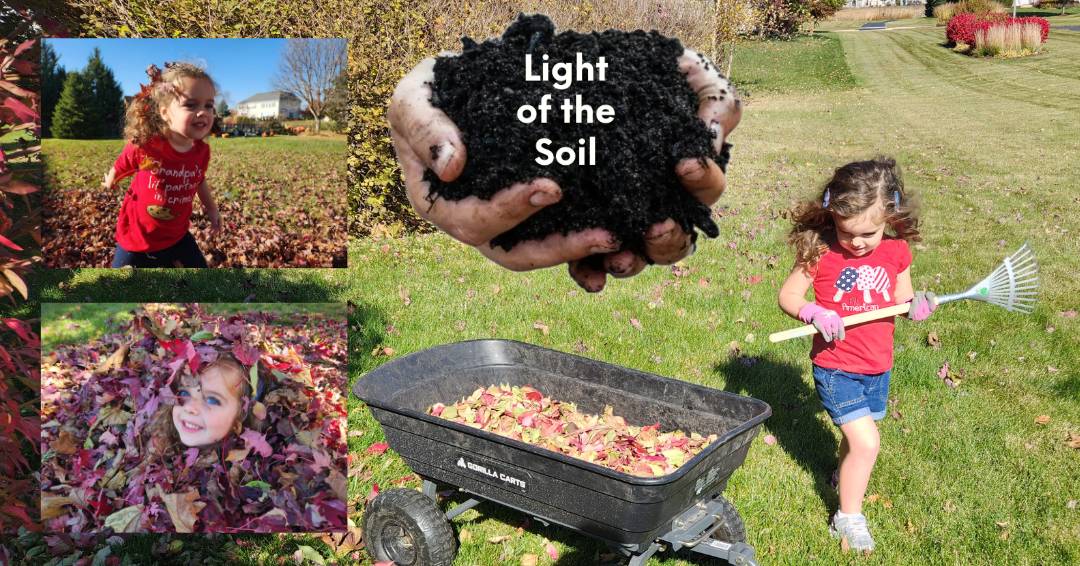 mikayla leaf collage story